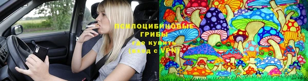 Альфа ПВП Алексеевка