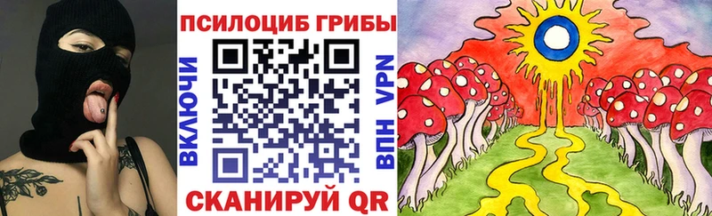 купить сайты Осташков мега вход Галлюциногенные грибы Cubensis