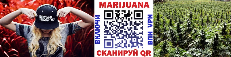 где купить наркоту  Осташков  Марихуана марихуана 
